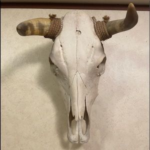 Bull with horns